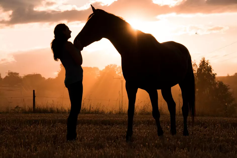 Sternzeichen Pferd in der Liebe